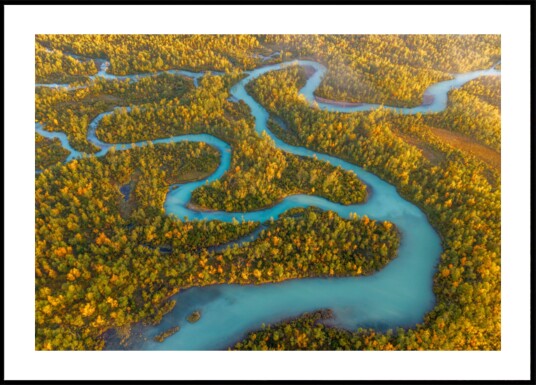 Winding River Autumn Forest Plakat / 30x40 Winding River Autumn Forest Plakat / 30x40