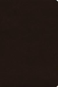 Esv Women'S Study Bible Esv Women'S Study Bible