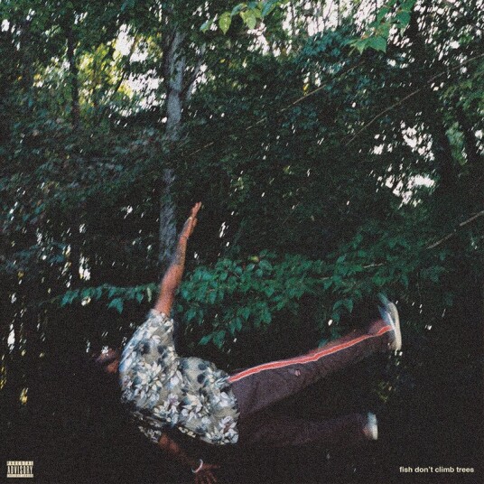 Fish Dont Climb Trees Vinyl