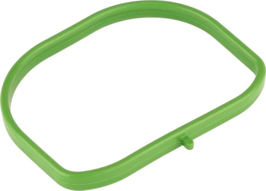 Tetning innsugningsmanifold Professional Parts 21434776