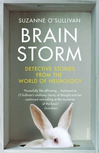 Brainstorm Av Suzanne O'Sullivan