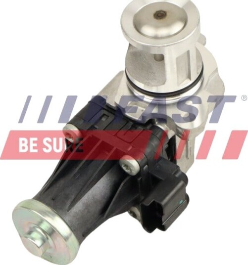 EGR Ventil FAST FT10615