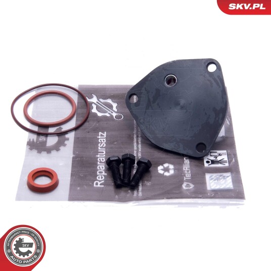 ESEN SKV 18SKV800 Reparatorsett, undertrykkspumpe (bremseanlegg)