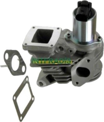 EGR-ventil INTFRADIS 2574