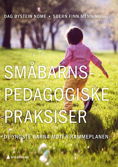 Småbarnspedagogiske praksiser  de yngste barna møter rammeplanen
