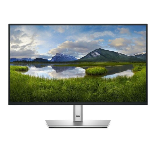 DELL P Series P2225H Computer DELL P Series P2225H Computer