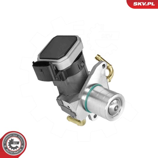 EGR Ventil ESEN SKV 14SKV303