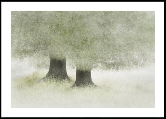 Friendship Plakat / 100x150