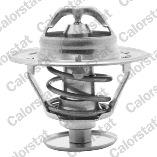 Termostat CALORSTAT by Vernet TH1419.88J