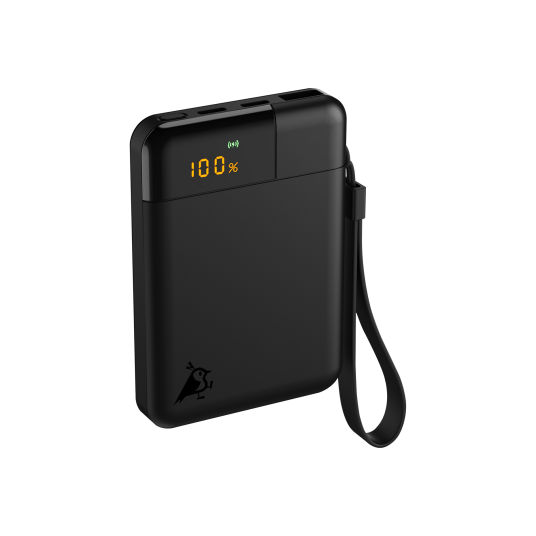 Aqiila Powerbird B5 Powerbank 5000 mAh 12W Svart