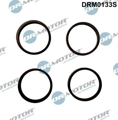 Pakkningssett innsugningsmanifold Dr.Motor Automotive DRM0133S