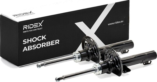 RIDEX 854S1248 Støtdemper