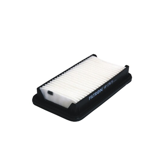 Luftfilter FILTRON AP 176/5 Luftfilter FILTRON AP 176/5