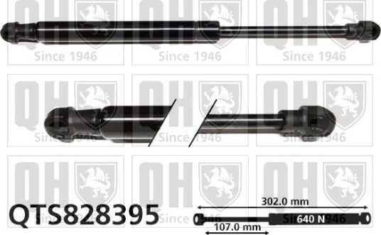 QUINTON HAZELL QTS828395 Baklukedemper