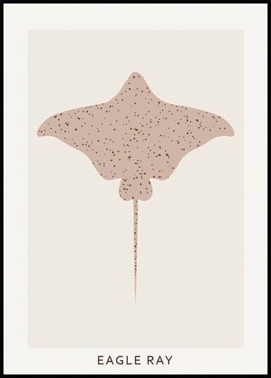 Eagle Ray Plakat Plakat / 40x50cm