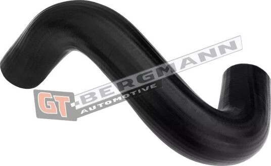 GT BERGMANN GT52 684 Ladeluftslange