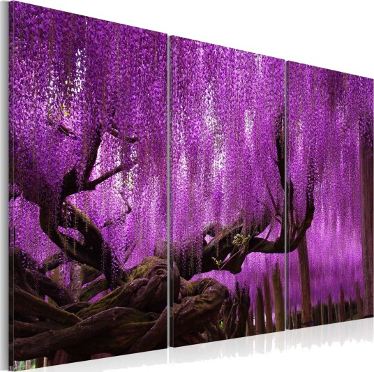 Bilde Wisteria 90x60 Artgeist sp. z o. o.