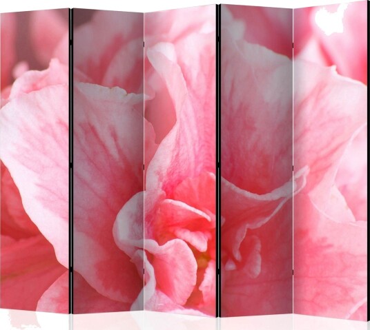 Romdeler - Pink azalea flowers II 225x172 - Artgeist sp. z o. o.