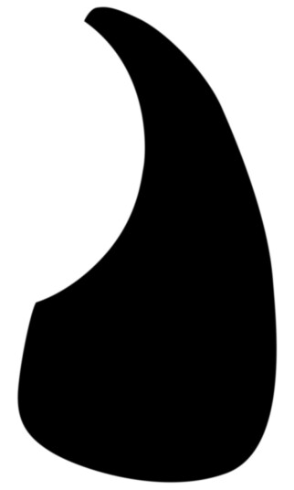D'Andrea Acoustic Guitar Small Pickguard Black