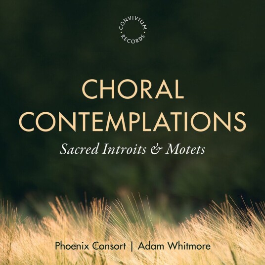 Phoenix Consort, Adrian Green, David Fletcher, David Goymour, JohnPaul Bowman, Peter Blumsom, Rosemary Broadbent Choral Contemplations CD Phoenix Consort, Adrian Green, David Fletcher, David Goymour, JohnPaul Bowman, Peter Blumsom, Rosemary Broadbent Choral Contemplations CD