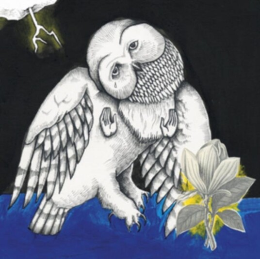 Songs: Ohia  The Magnolia Electeric Co.  LP/Vinyl