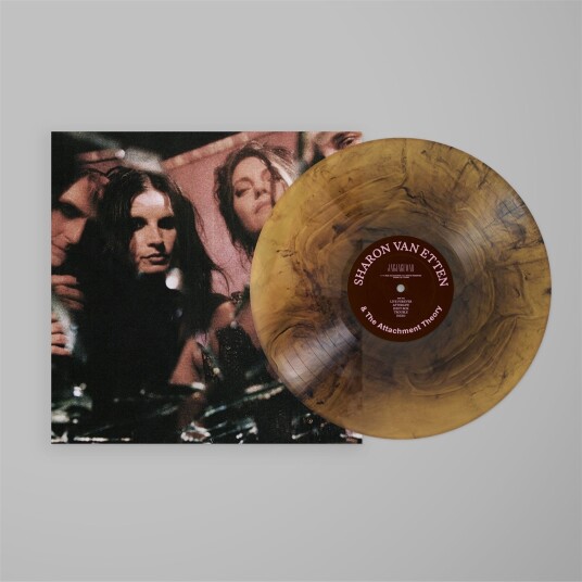Sharon Van Etten Sharon Van Etten & The Attachment Theory LP/Vinyl Sharon Van Etten Sharon Van Etten & The Attachment Theory LP/Vinyl