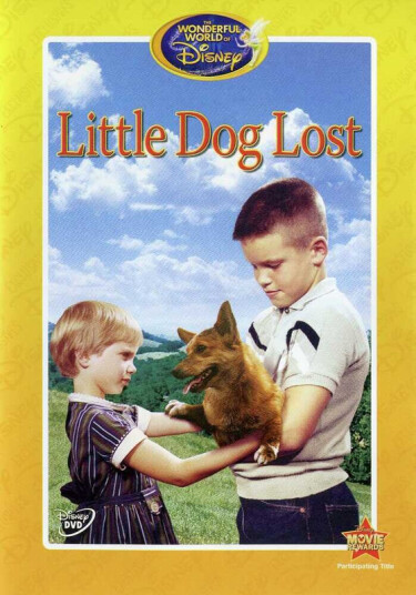 Little Dog Lost DVD