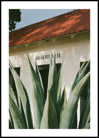 Desert Veil Plakat Plakat / 50x70cm Desert Veil Plakat Plakat / 50x70cm