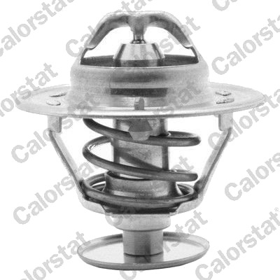 Termostat CALORSTAT by Vernet TH1419.82J