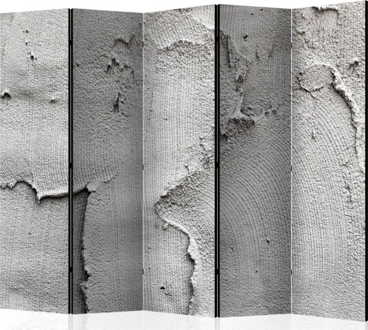 Romdeler - Concrete nothingness II 225x172 - Artgeist sp. z o. o.