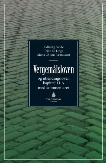 Vergemålsloven Av Trine Eli Linge, Mona Choon Rasmussen, Eldbjørg Sande