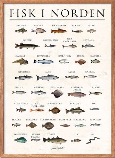 Poster & Frame Fisk I Norden, Sten - Multi/patterned - 30X40CM Poster & Frame Fisk I Norden, Sten - Multi/patterned - 30X40CM