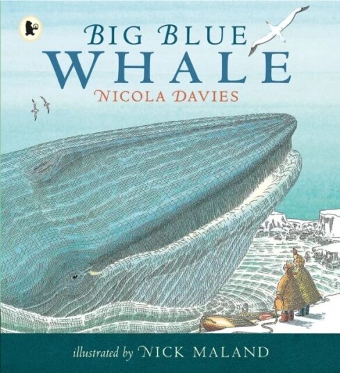 Big Blue Whale Av Nicola Davies