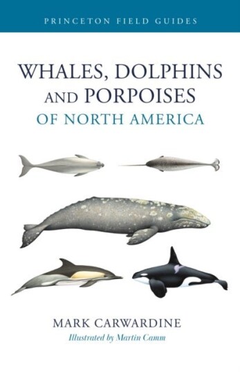 Whales Dolphins and Porpoises of North America