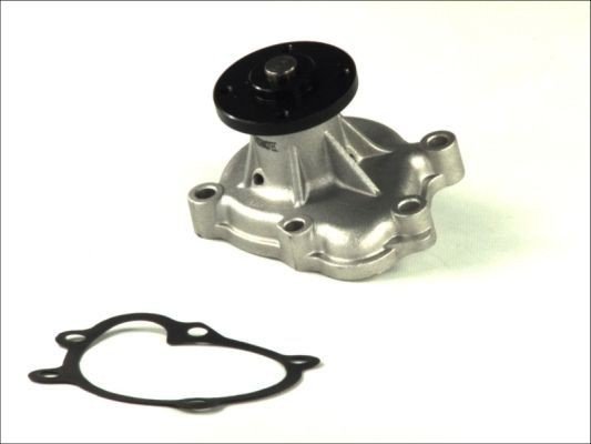 THERMOTEC D1X040TT Vannpumpe
