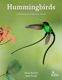 Hummingbirds Av Glenn Bartley, Andy Swash