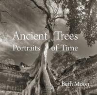 Ancient Trees Av Beth Moon Ancient Trees Av Beth Moon