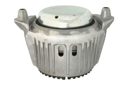 Motorfeste REINHOCH RH11-5009