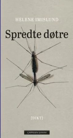 Spredte Døtre Av Helene Imislund