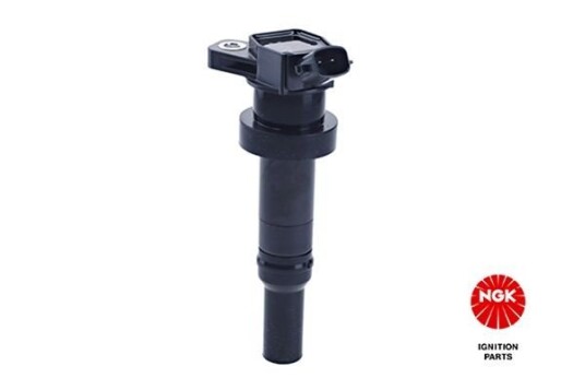 Tennspole coil NGK 49048