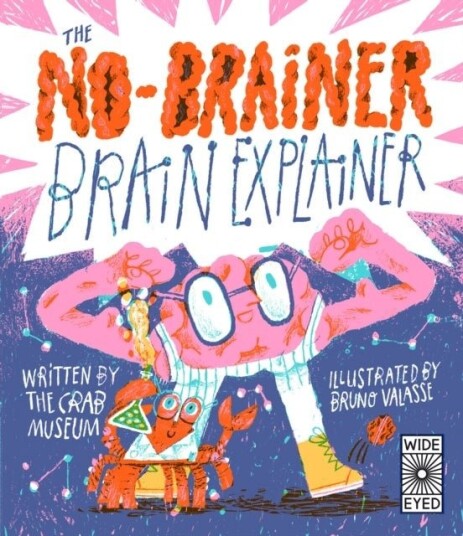 The No Brainer Brain Explainer