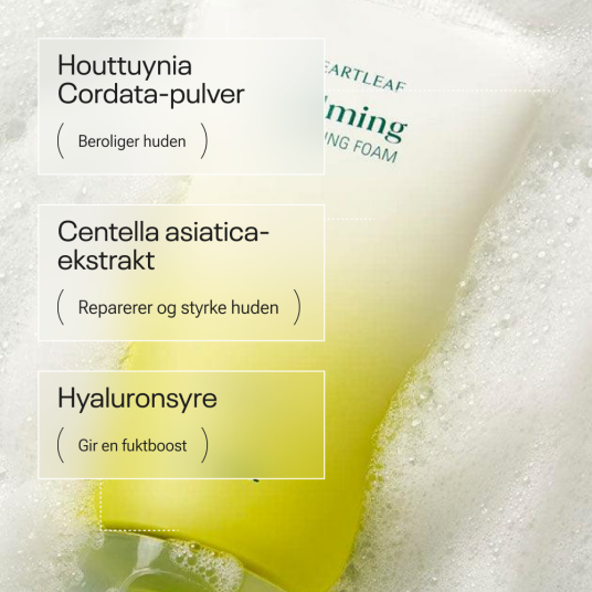 Goodal Houttuynia Cordata Calming Ph Balancing Cleansing Foam