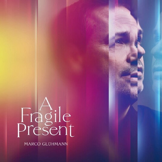 Marco Glühmann  A Fragile Present  LP/Vinyl