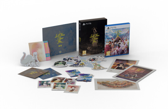 Last Time I Saw You Special Edition PS5 Spill