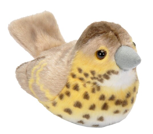 Wild Republic Birds with sound from