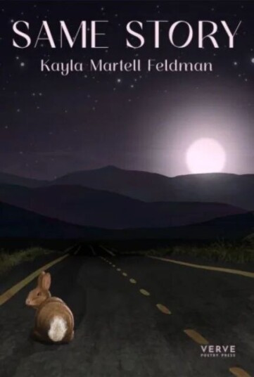 Same Story Av Kayla Martell Feldman