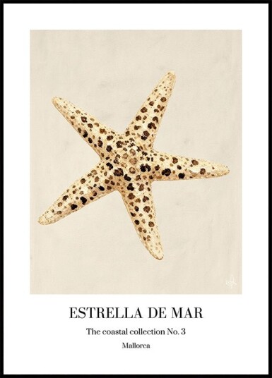 Estrella De Mar Plakat Plakat / 100x150cm