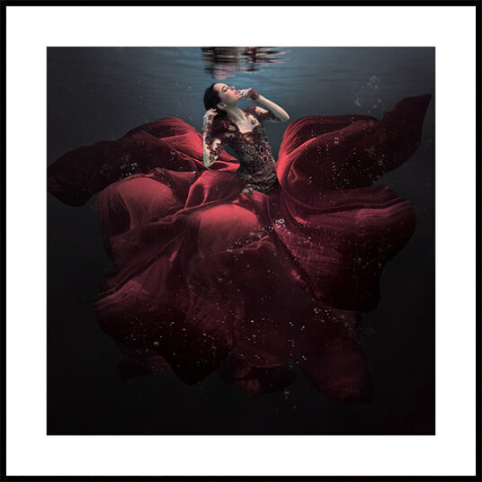 The Lady in Red Plakat Plakat / 50x50cm