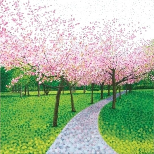 Cherry Blossom Kort Med Konvolutt