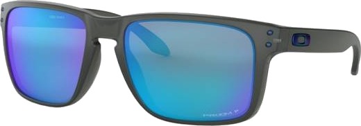 Oakley Holbrook  Prizm Tungsten Polarized